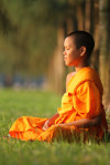 12607 - พัดไทย หอยทอด.jpeg